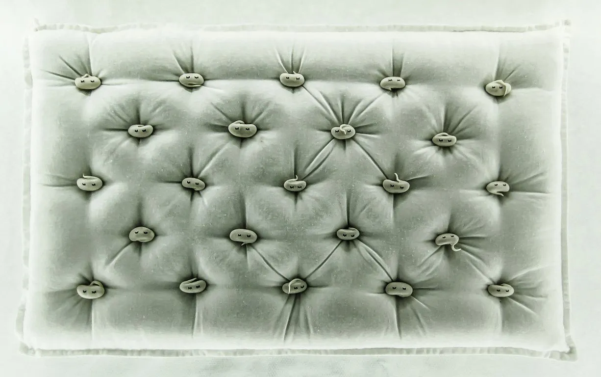 Incubator