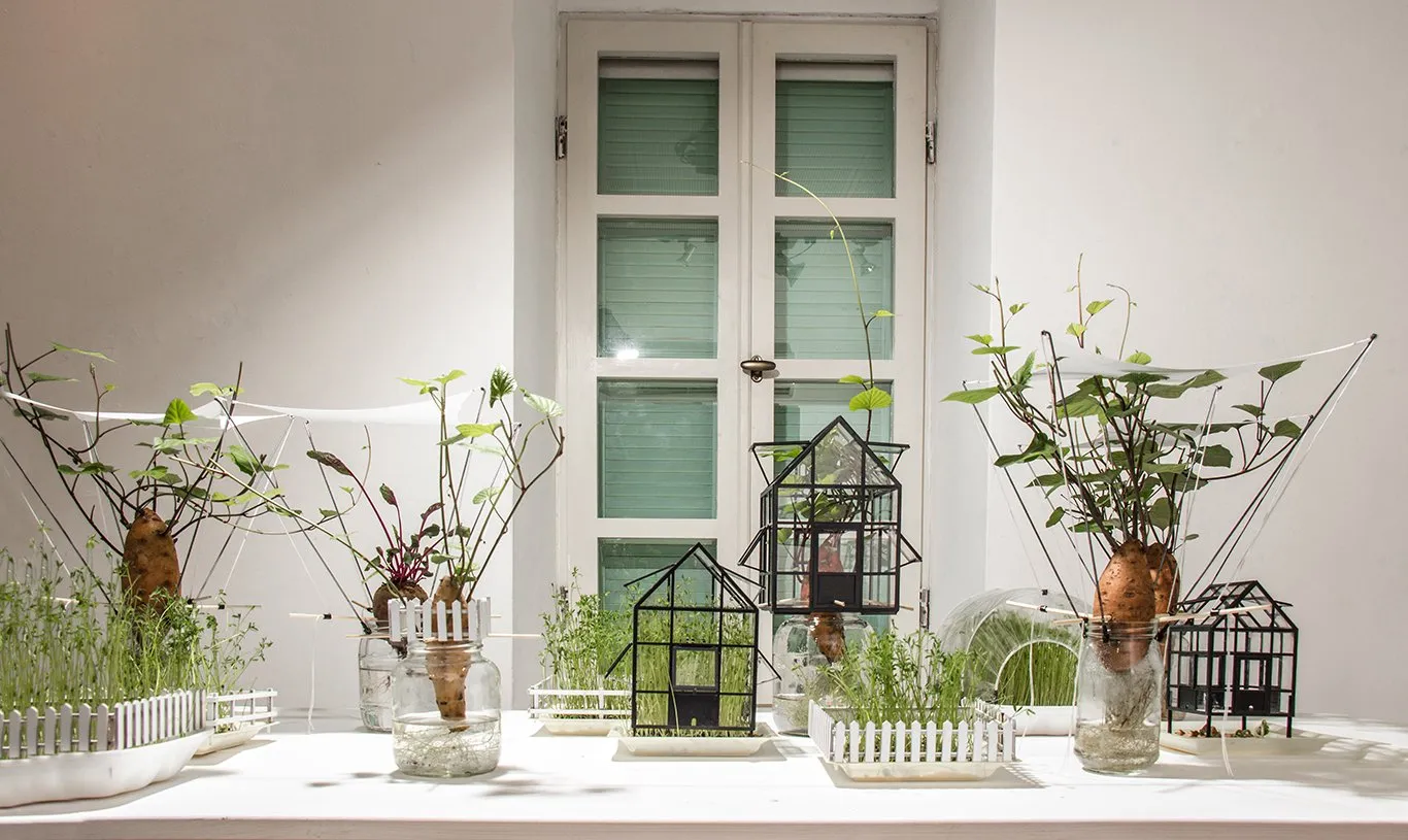 The Garden Within — 2