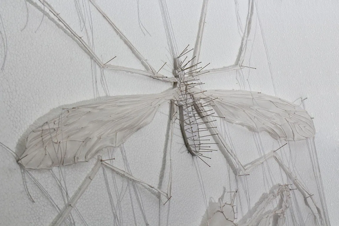 Fly on the wall — 3