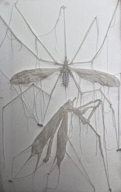Fly on the wall — 4