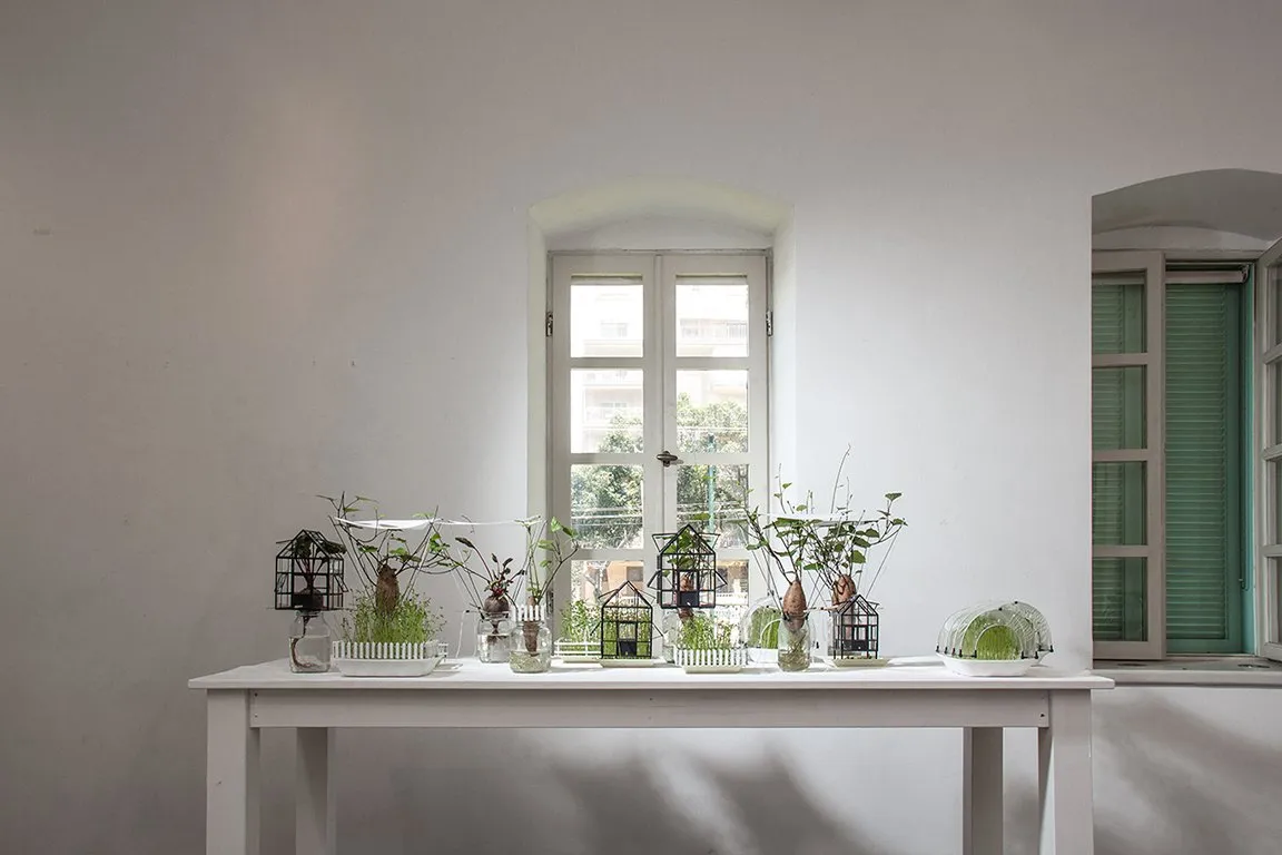 The Garden Within — 4