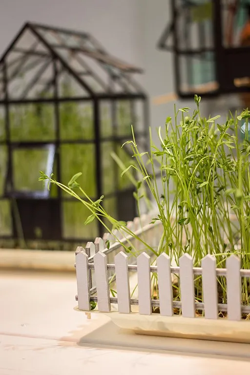 The Garden Within — 5