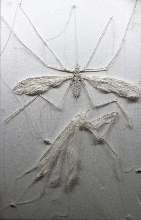 Fly on the wall — 6