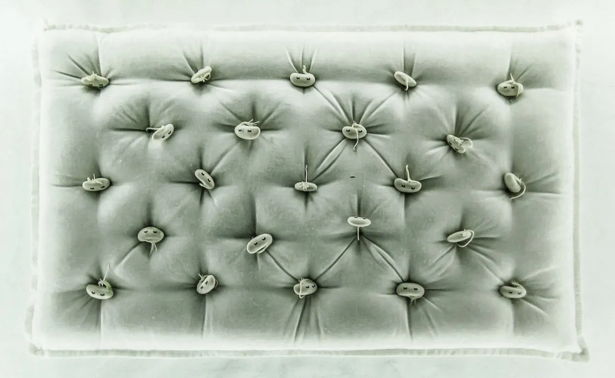 Incubator — 11