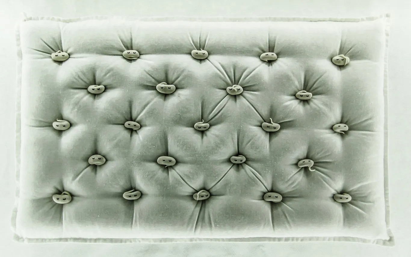 Incubator — 12