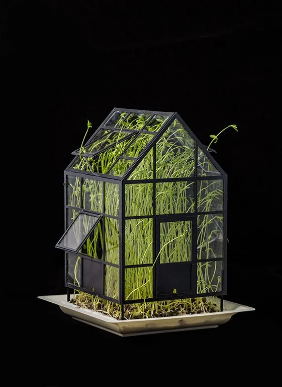 The Garden Within — 13